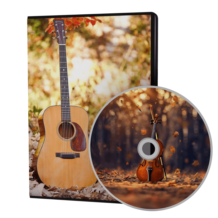 تکنیک های گیتار-سه تار-تار